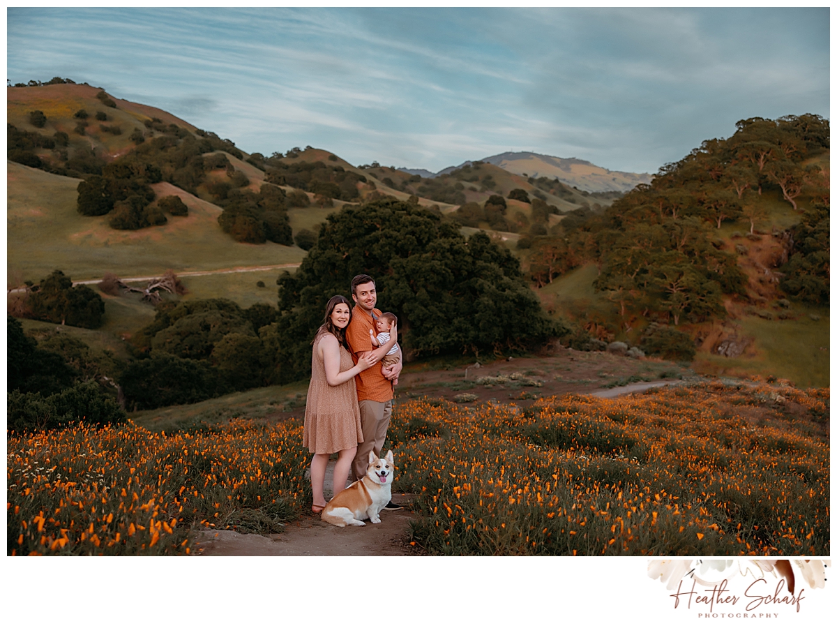 Wildflower Family Photography Session