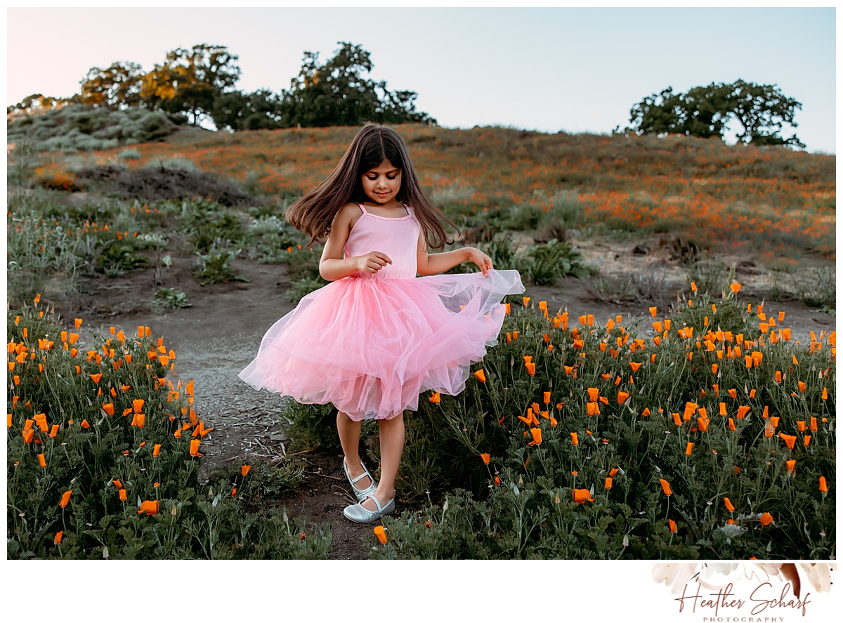 Wildflower photo session